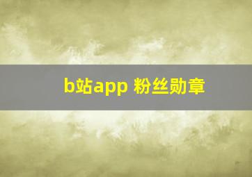 b站app 粉丝勋章